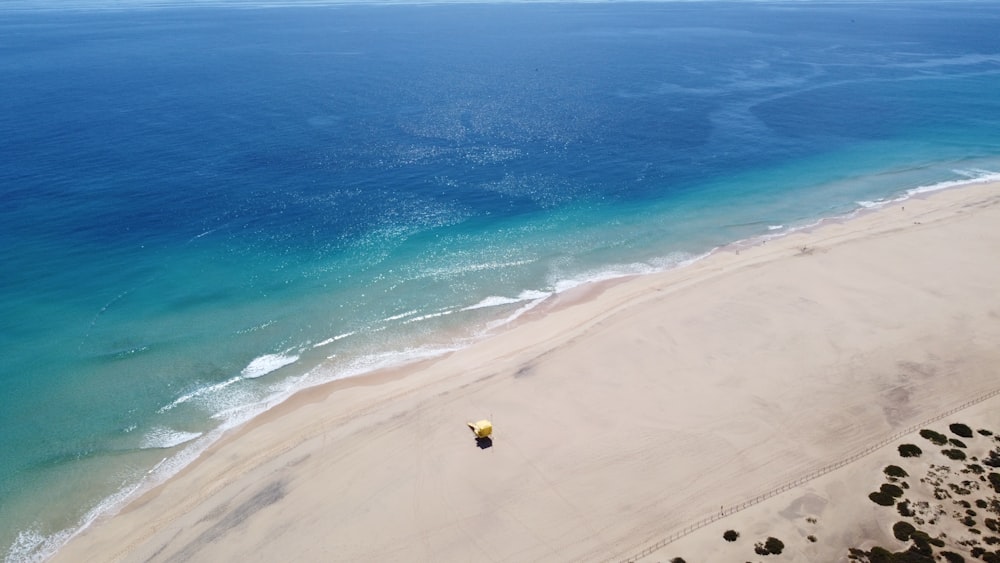 people on beach during daytime