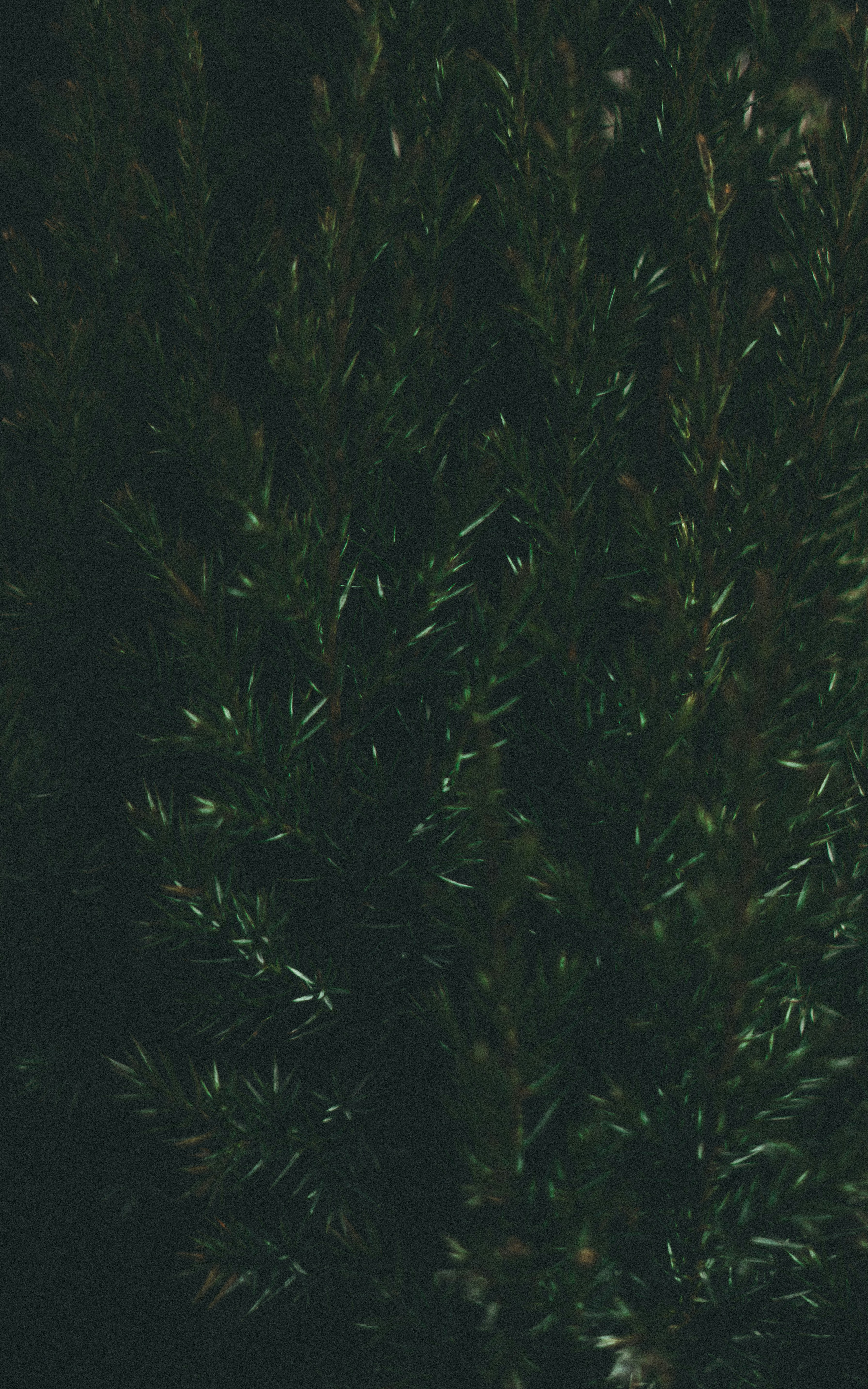 Photo by virussinside