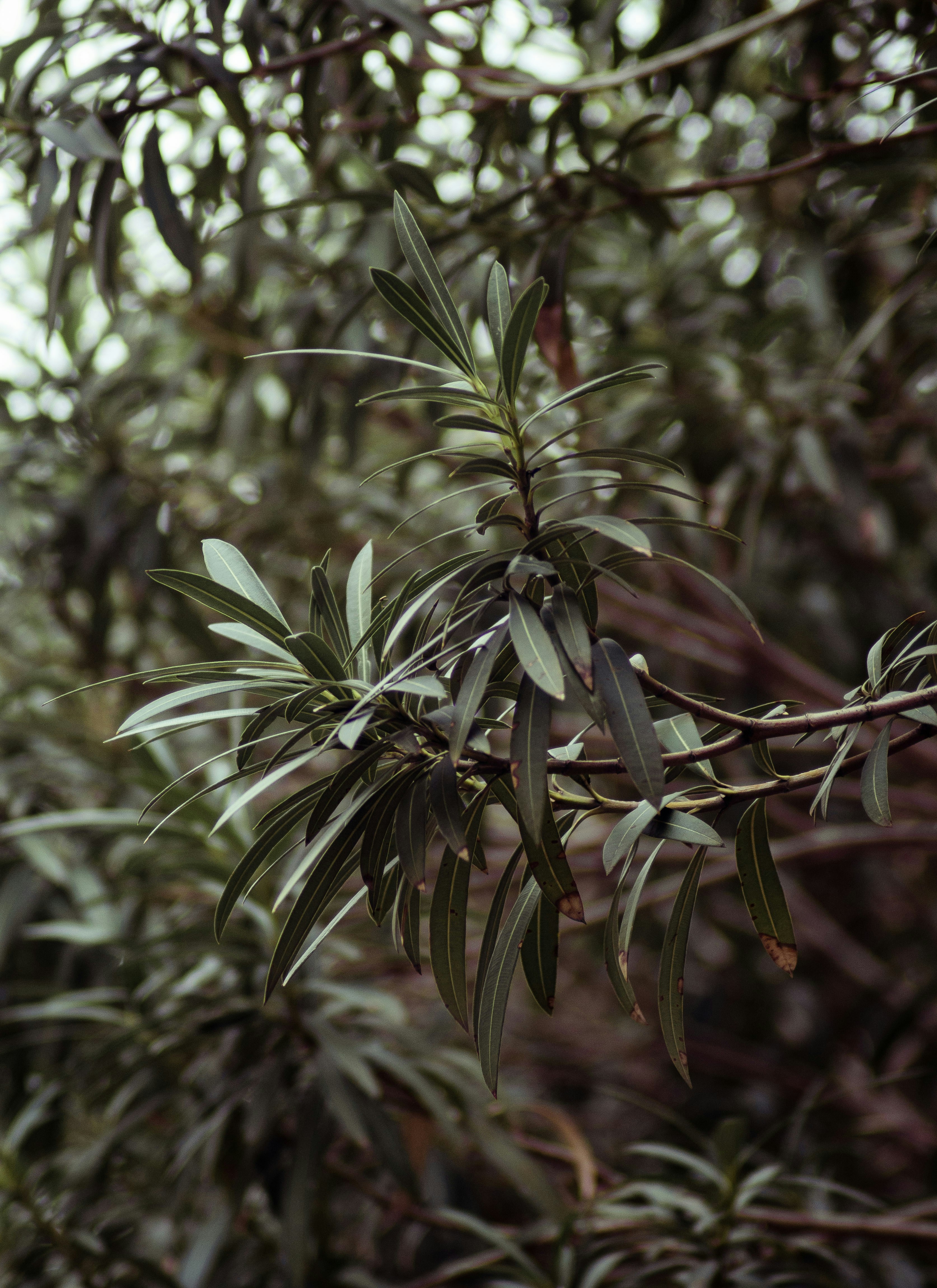 Photo by fadliilmiakmal_