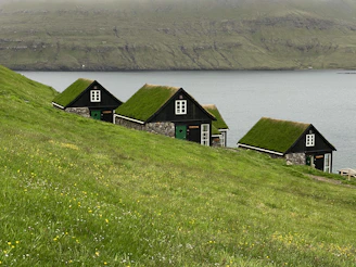 black and white house on green grass field near body of water during daytime