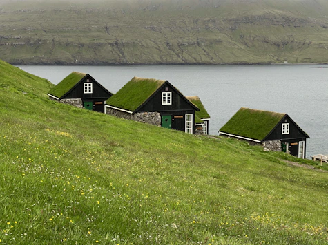 black and white house on green grass field near body of water during daytime