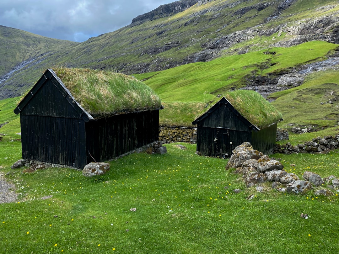 brown wooden house on green grass field near mountain during daytime