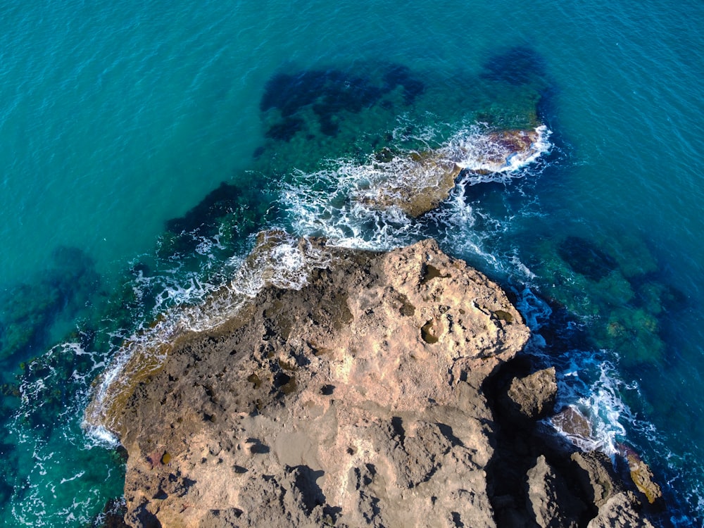 brown rocky shore during daytime