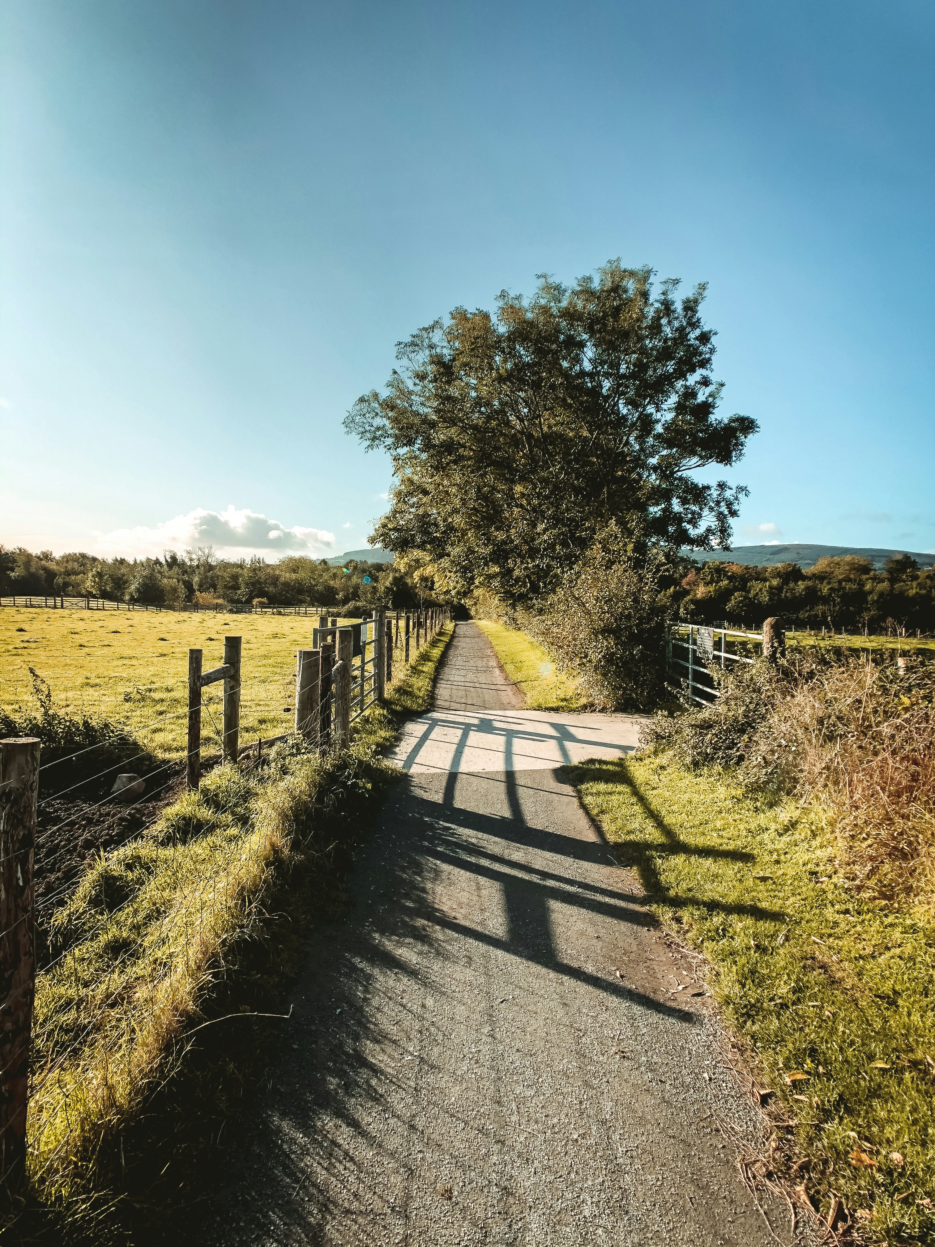 Photo by rampazzogabriele