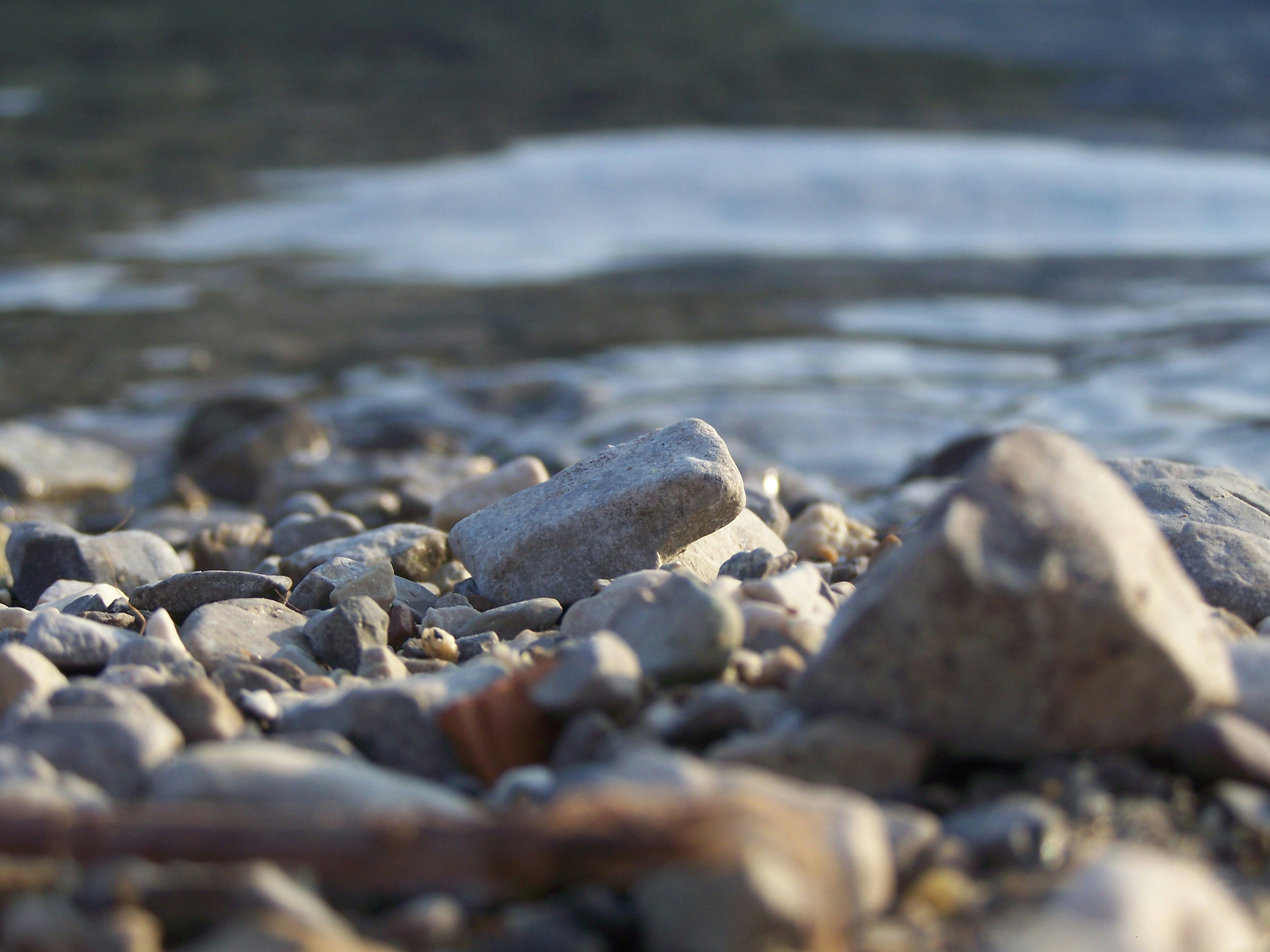 Photo by marissakl24