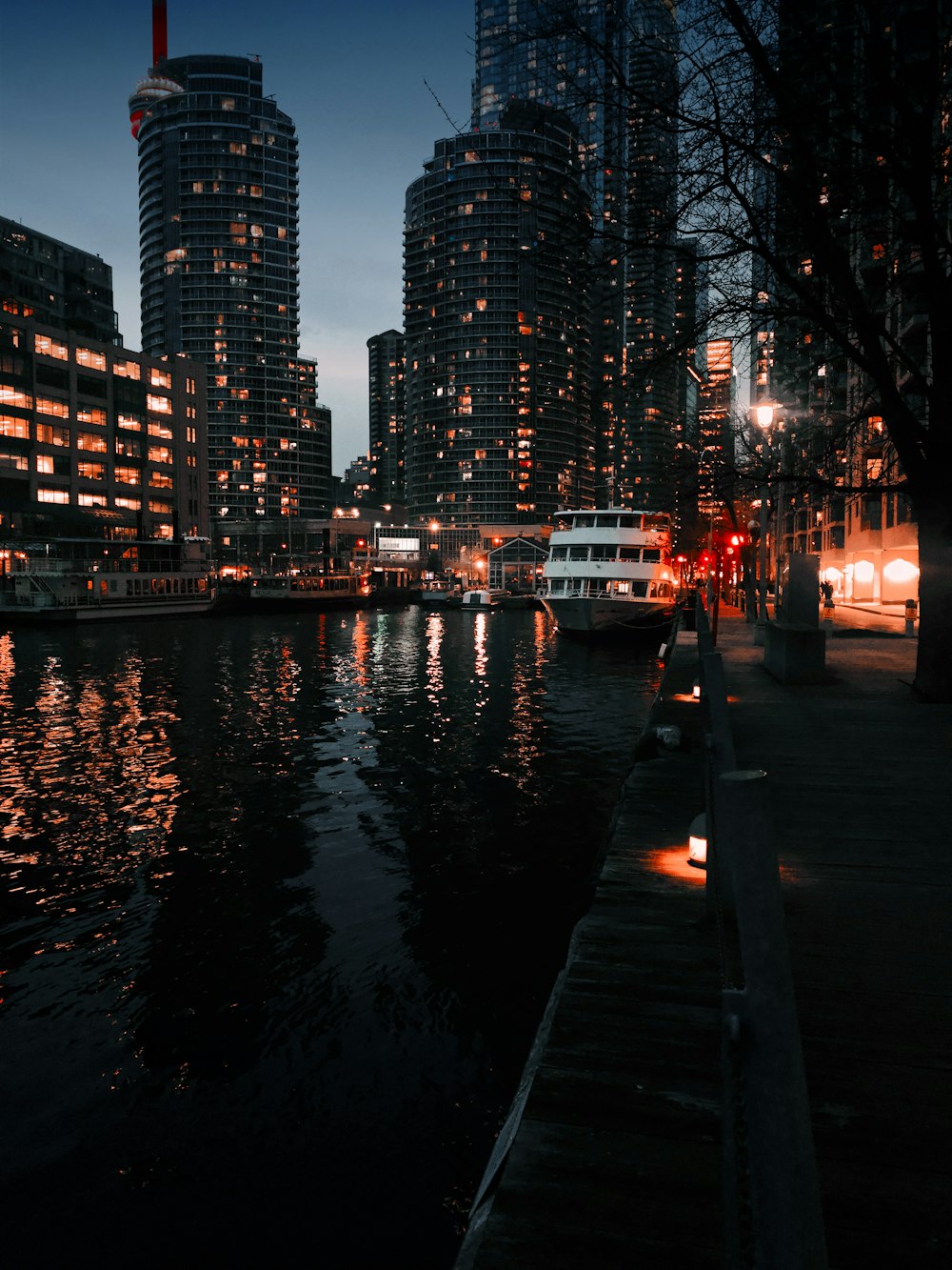 weißes Boot auf dem Wasser in der Nähe von kahlen Bäumen während der Nacht