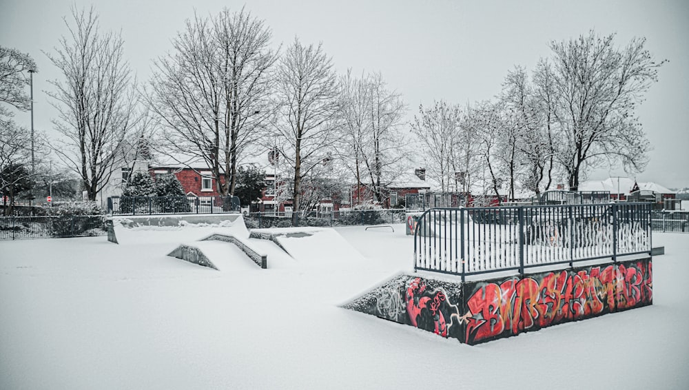 braune kahle Bäume auf schneebedecktem Boden tagsüber