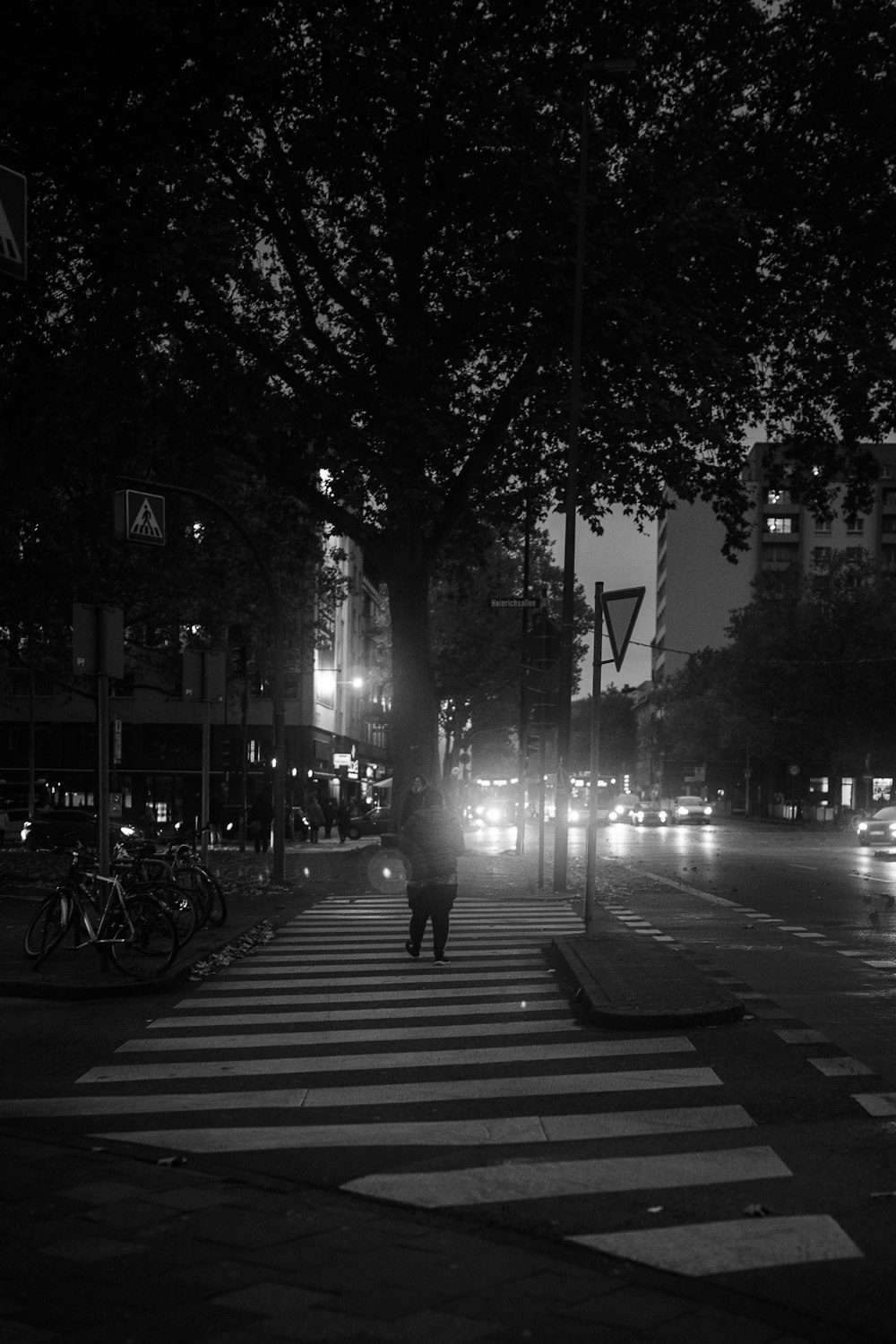 people walking on sidewalk near trees during night time