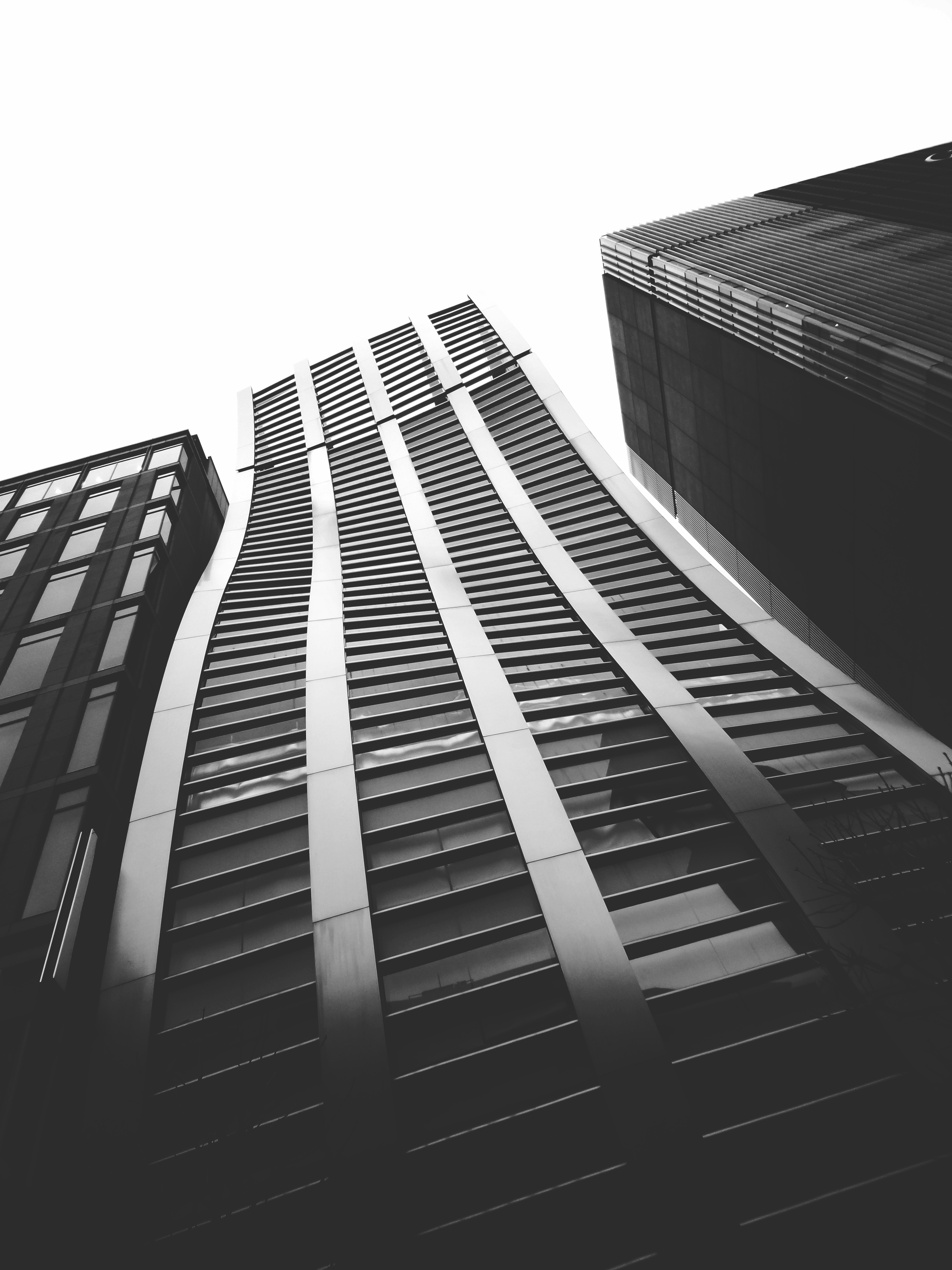 Photo by possessedphotography