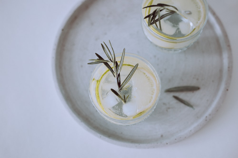 green plant in clear glass jar