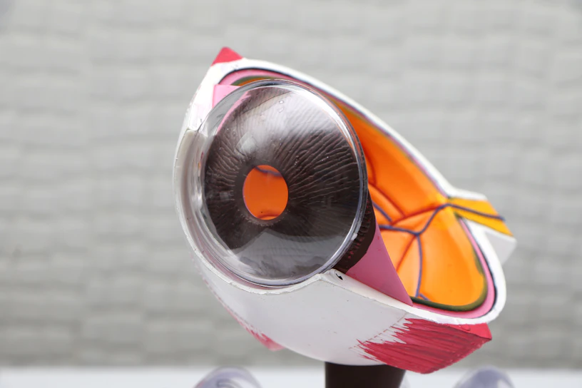 red and silver space ship