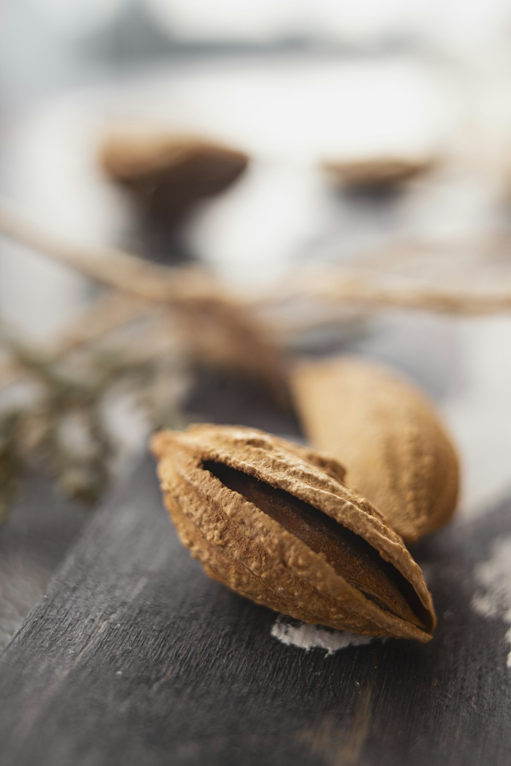 brown dried leaf on black wooden table