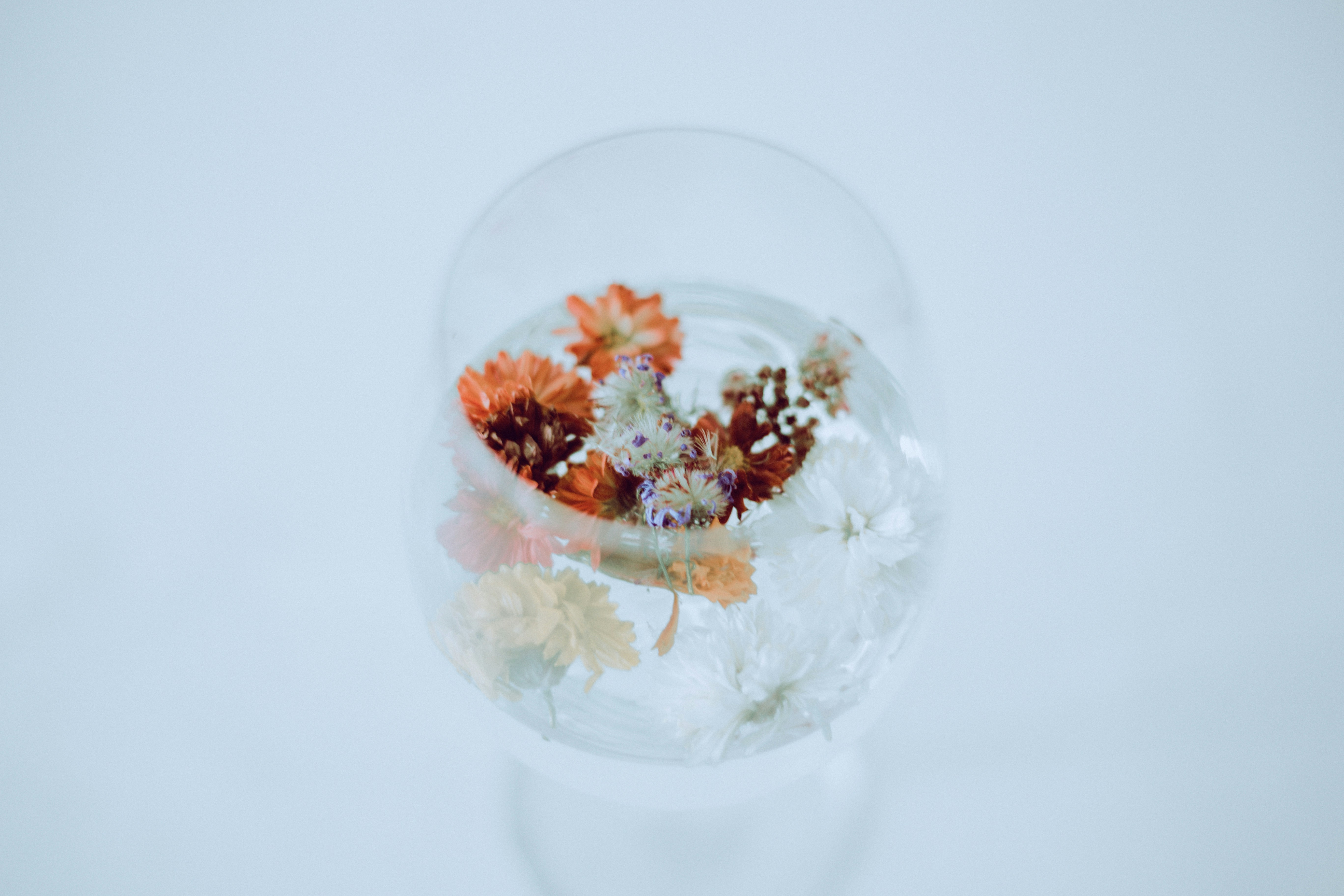 white and brown flowers in clear glass vase