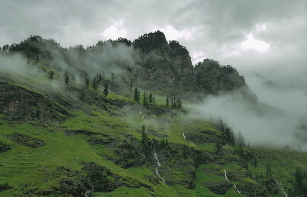 green grass field on mountain