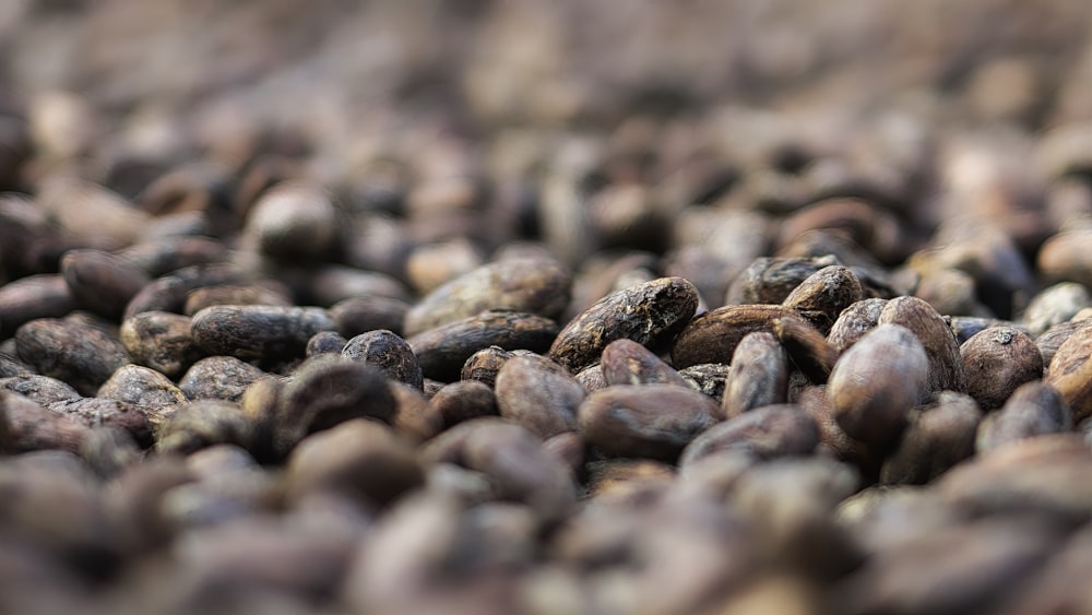 brown and black coffee beans