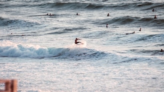 Surfers are scattered across the ocean, riding and waiting for waves. The water is dynamic with visible waves, and a surfer is actively riding a wave in the foreground. The scene captures a busy and lively surf session under a natural light setting.