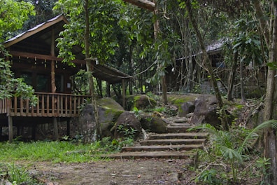 Rustic wooden porch of the Forest Cabin surrounded by green foliage.