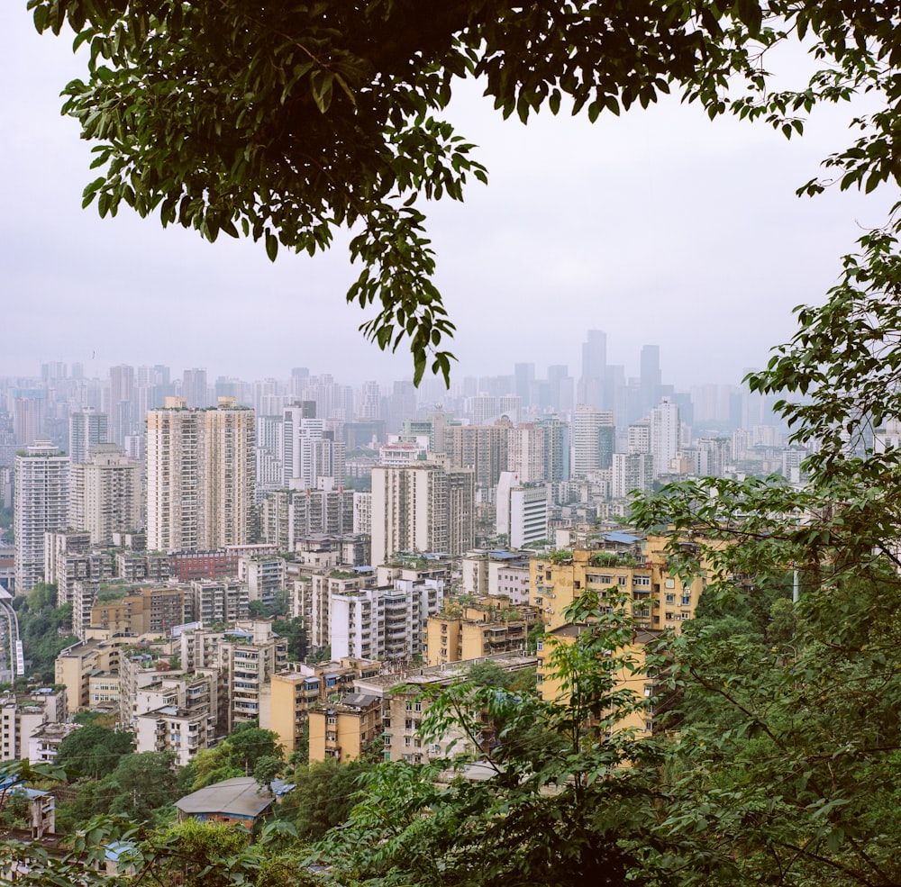 green trees near city buildings during daytime