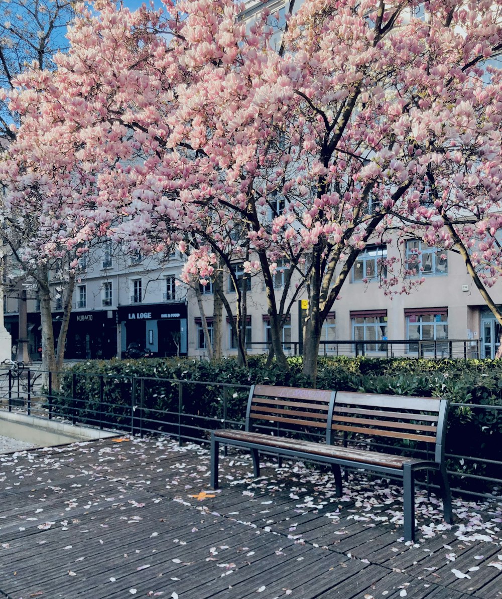 昼間のピンクの葉の木の近くにある茶色の木製ベンチ