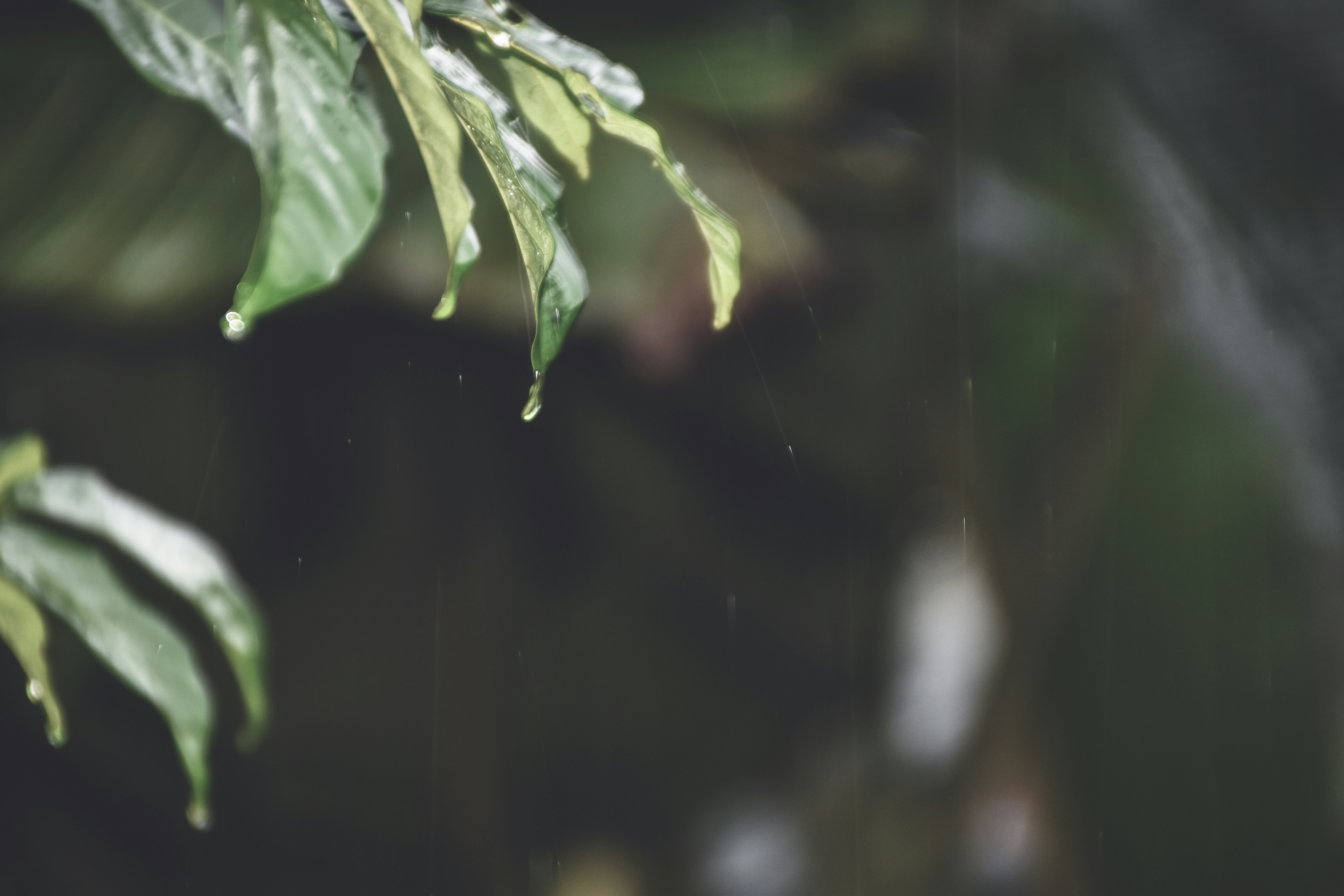 Photo by allensamthomas