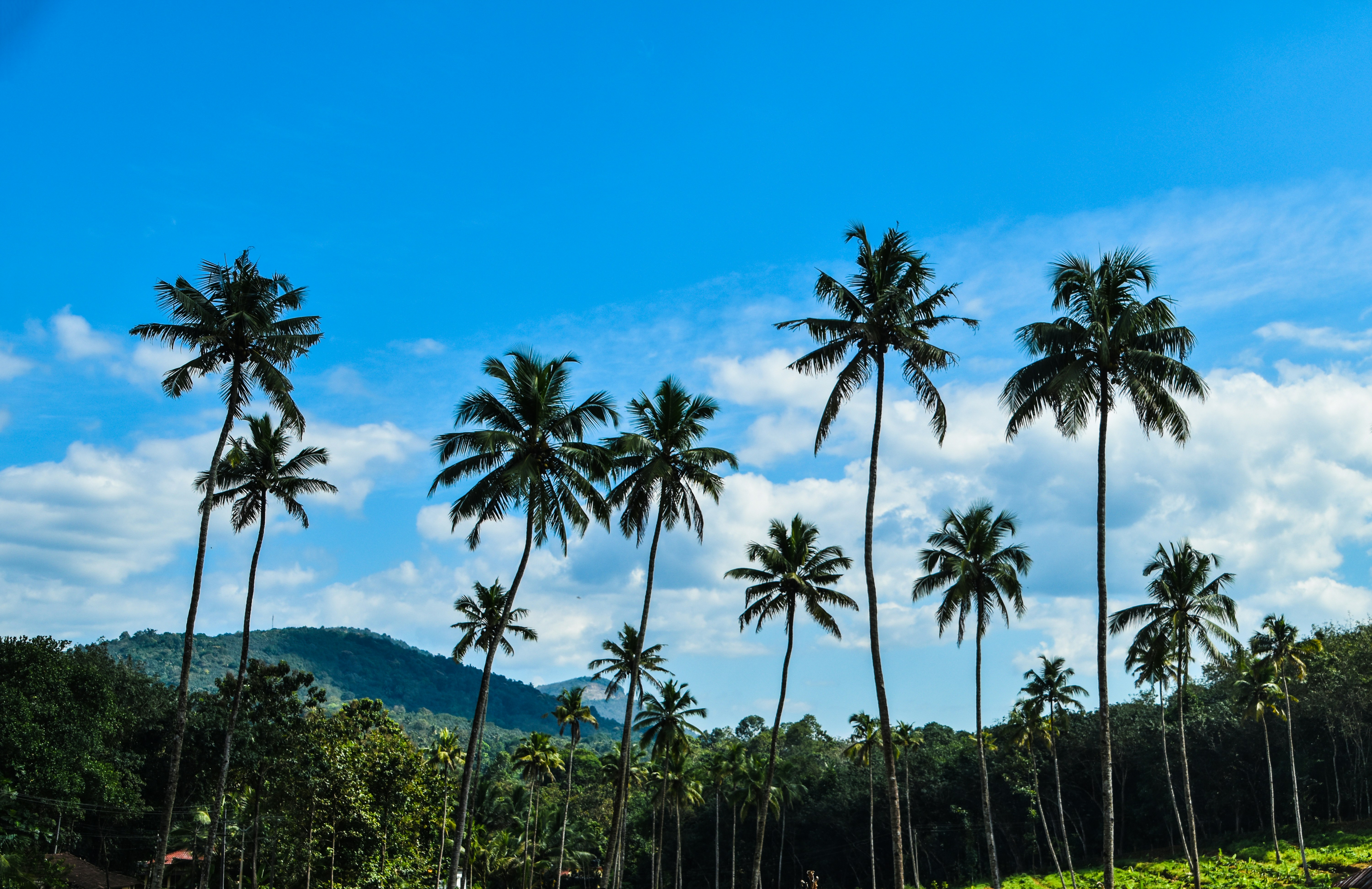 Photo by allensamthomas