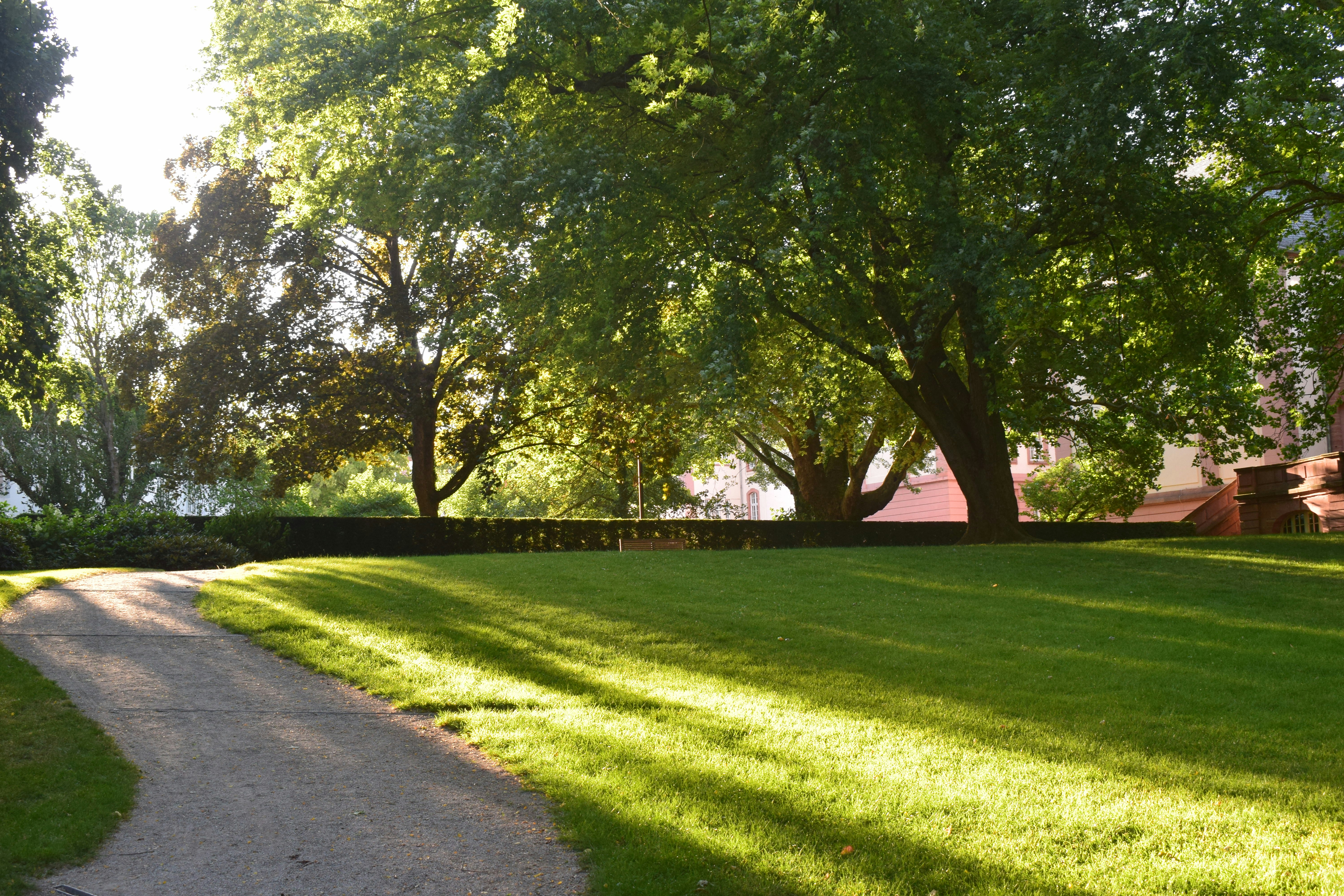 Photo by anand_krishnan