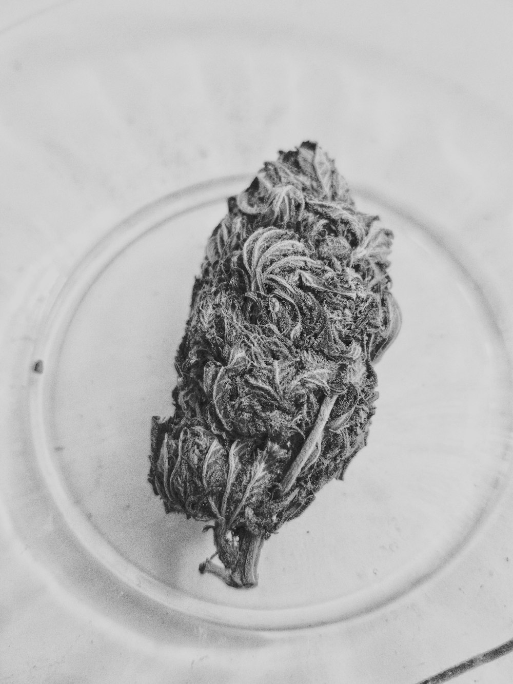 grayscale photo of dried leaf on white ceramic plate