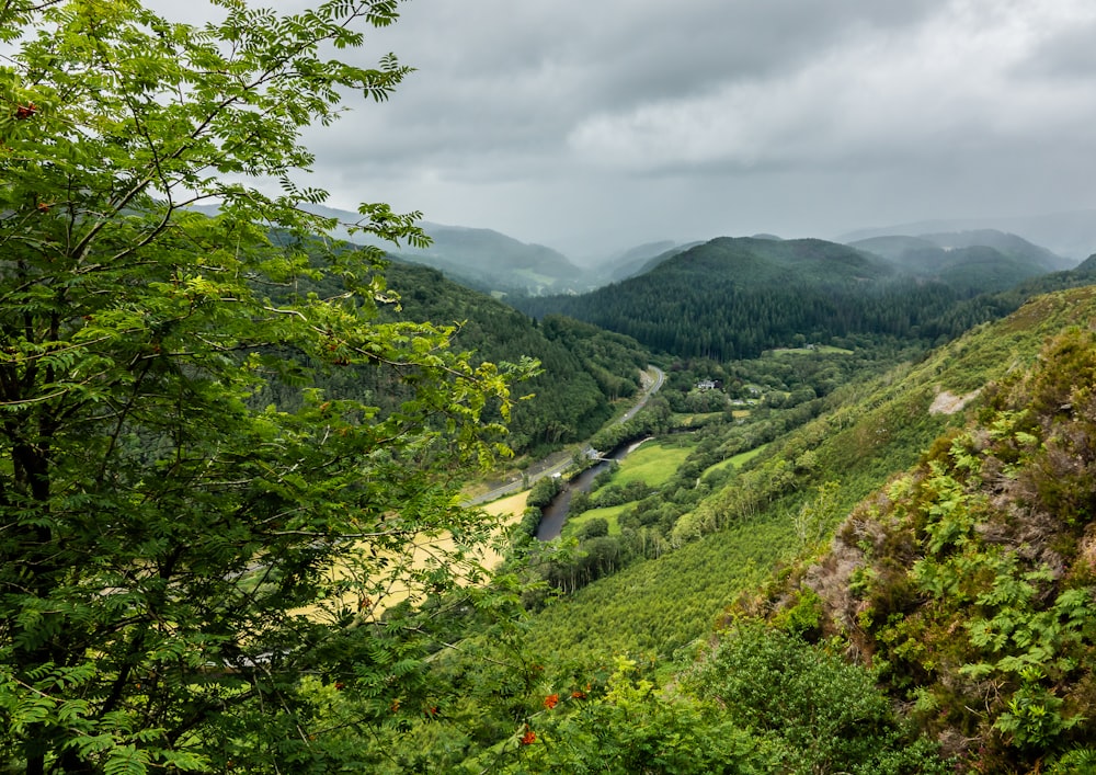 green trees on mountain under cloudy sky during daytime