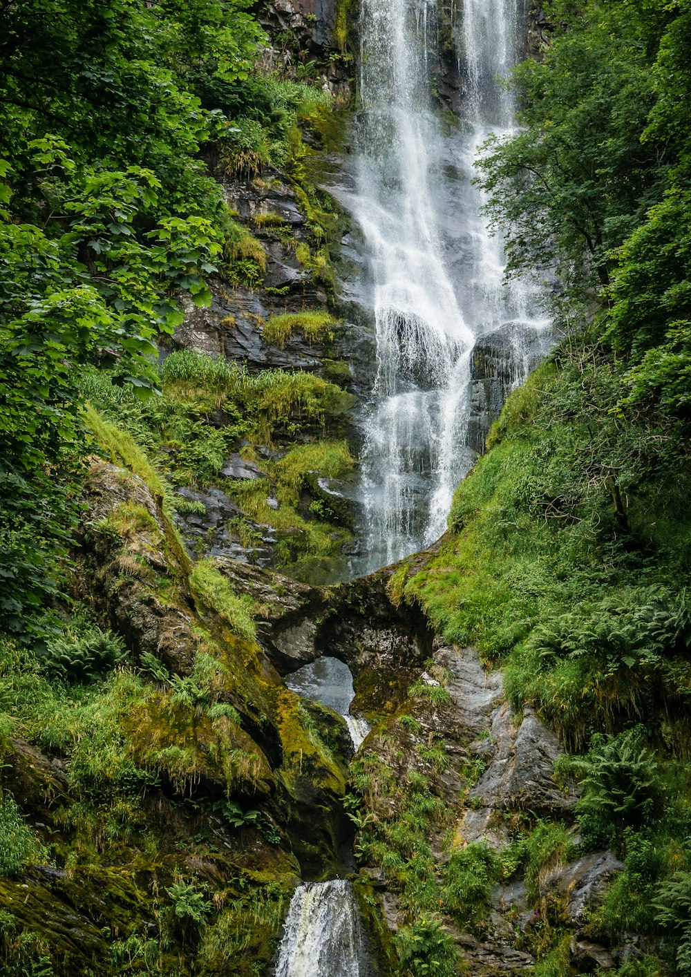 green moss on rock formation near waterfalls during daytime