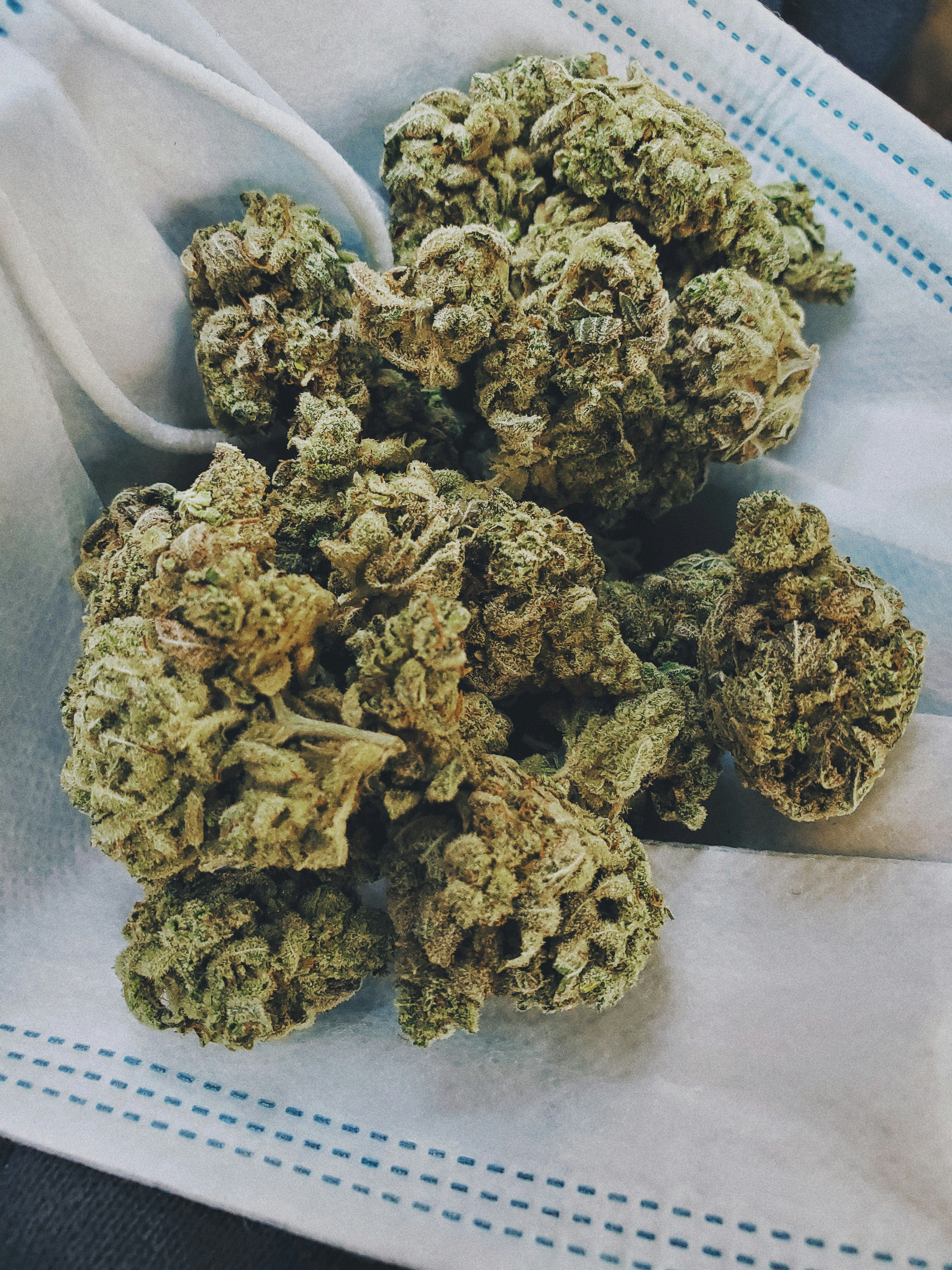 Premium Cannabis Flower