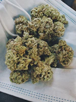 Fresh green cannabis buds resting on a natural hemp cloth background