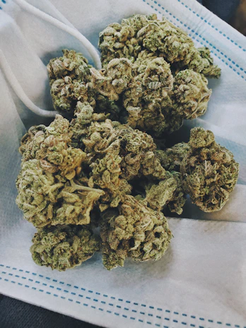 Soft pink cannabis buds artfully arranged on a crisp white marble surface.