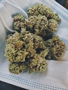 Sunrise Organic Blend