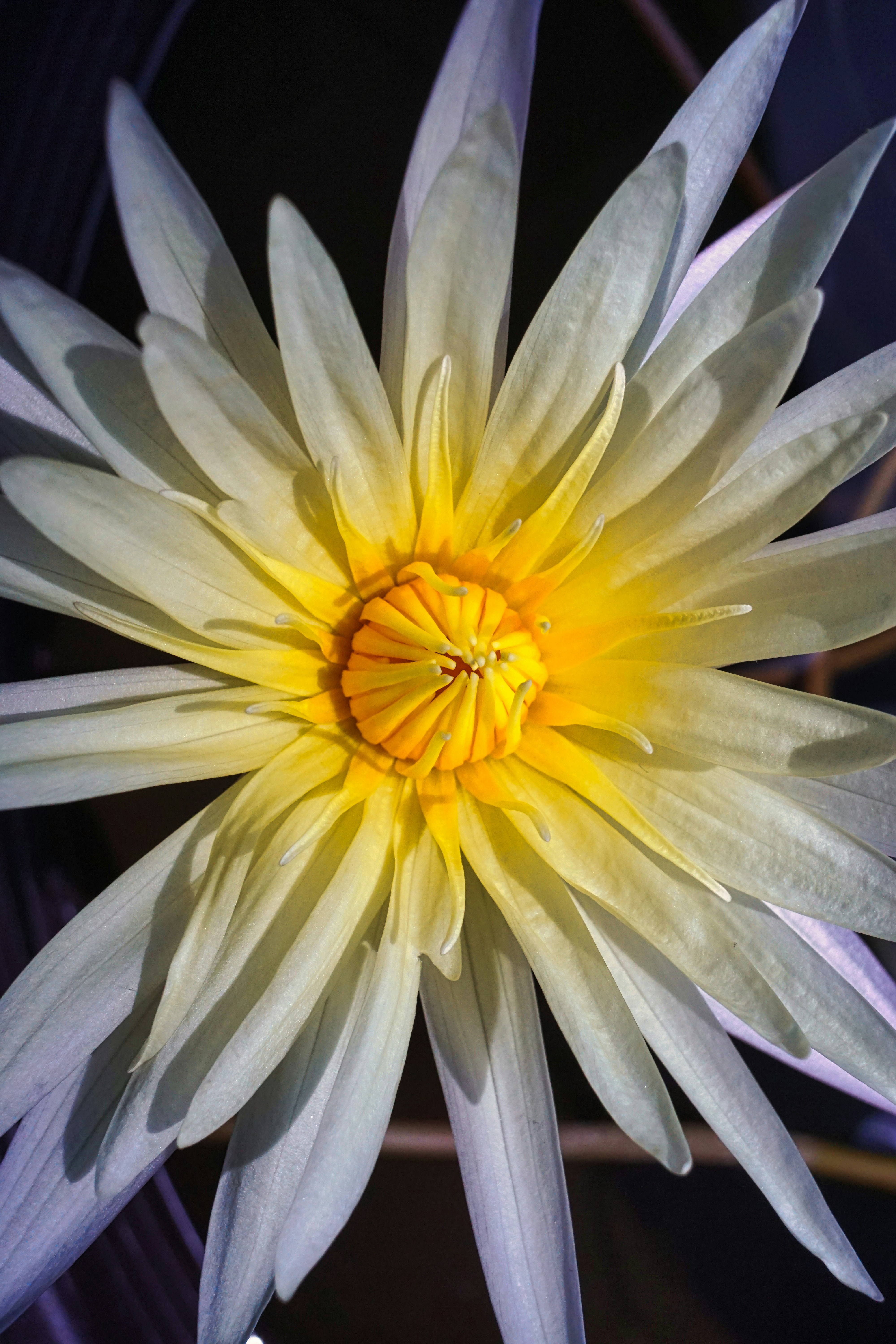 Photo by thomaskinto