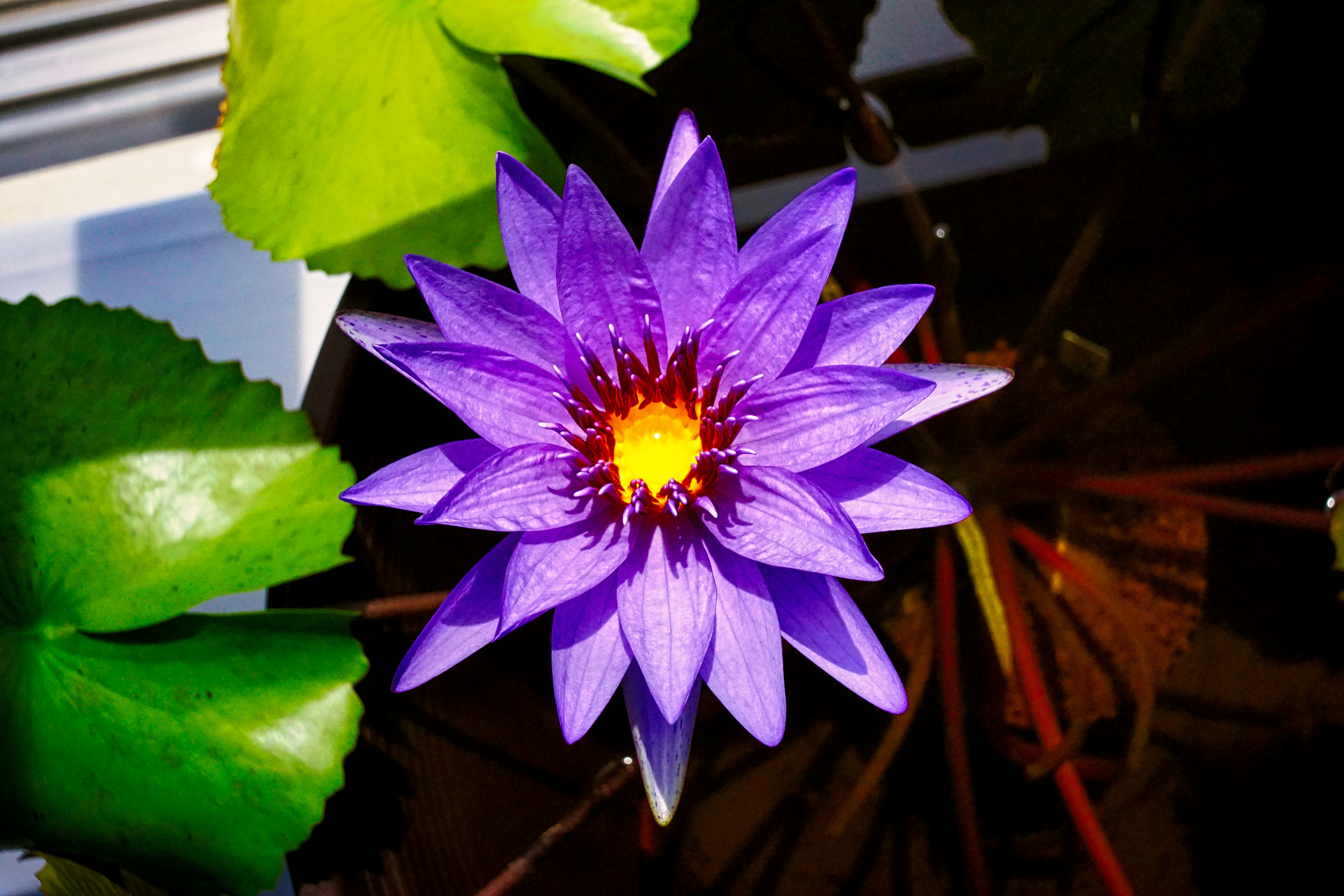 Photo by thomaskinto