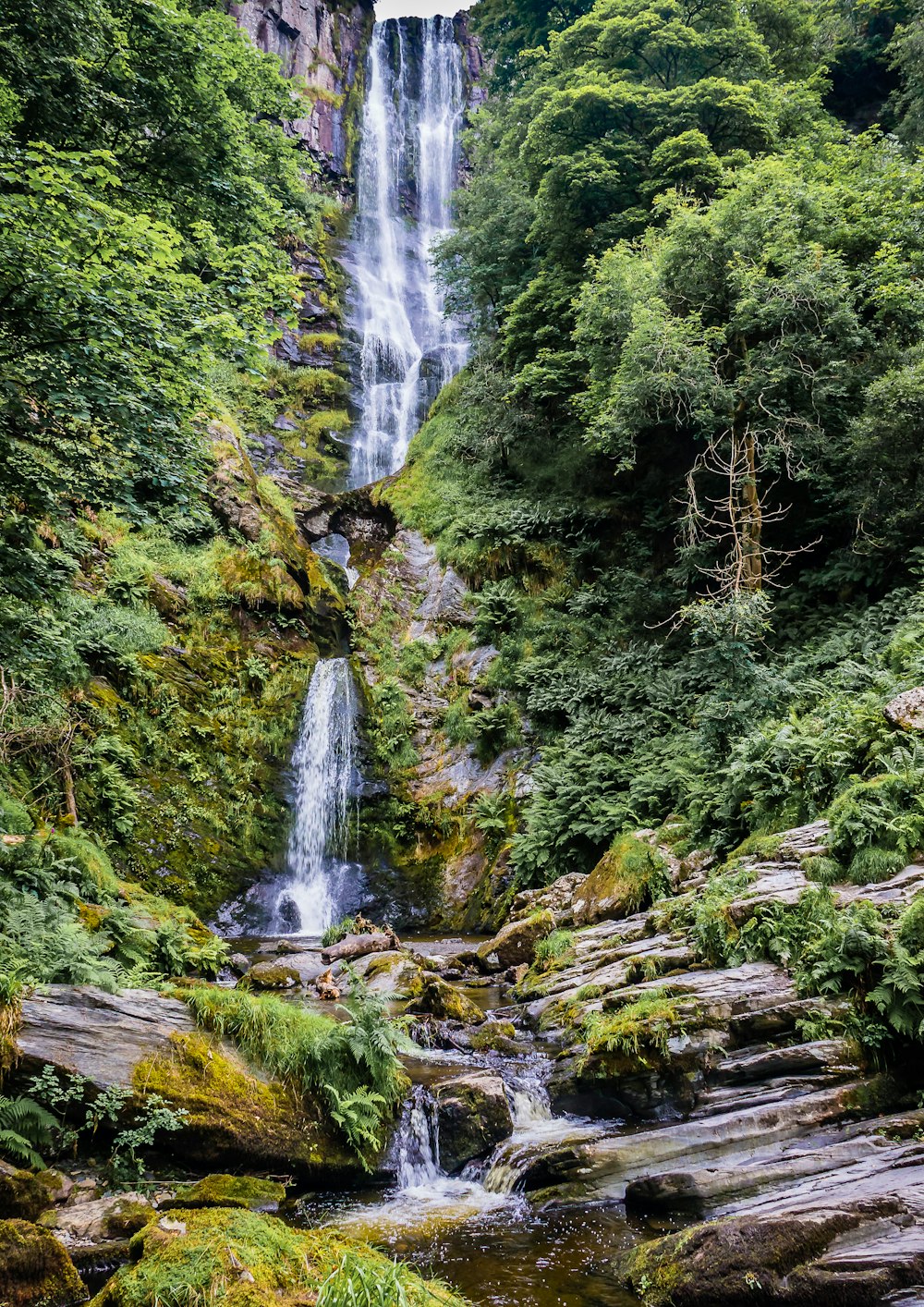 green moss on brown rock near waterfalls during daytime