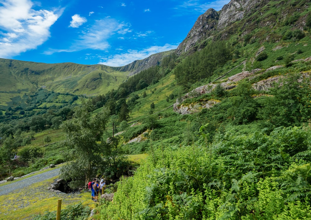 people walking on green grass field near green mountains under blue sky during daytime