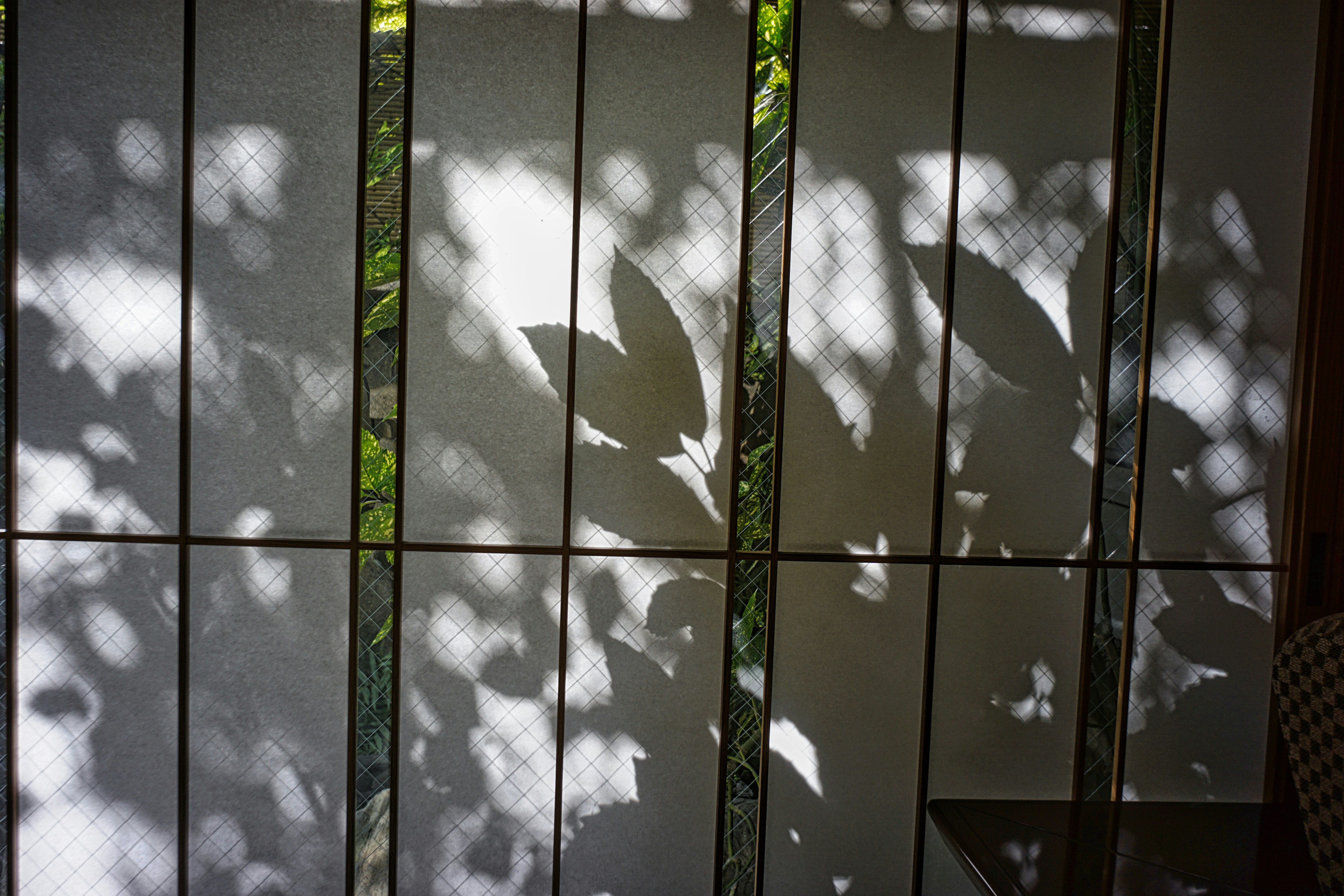 Photo by thomaskinto