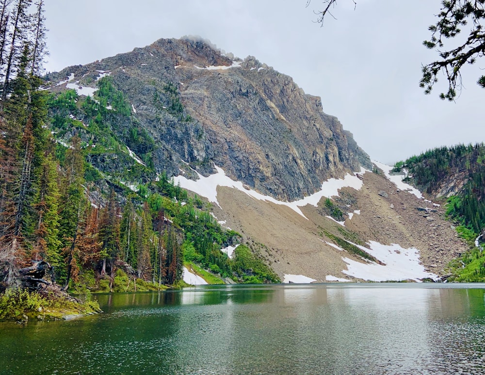 green and brown mountains beside body of water during daytime