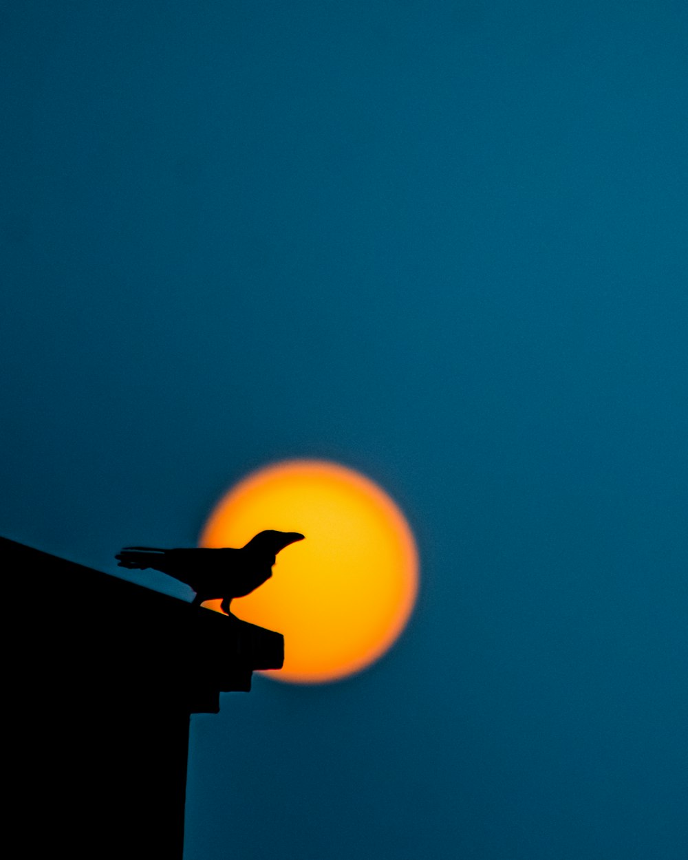 Silhouette eines Mannes, der nachts auf dem Dach steht