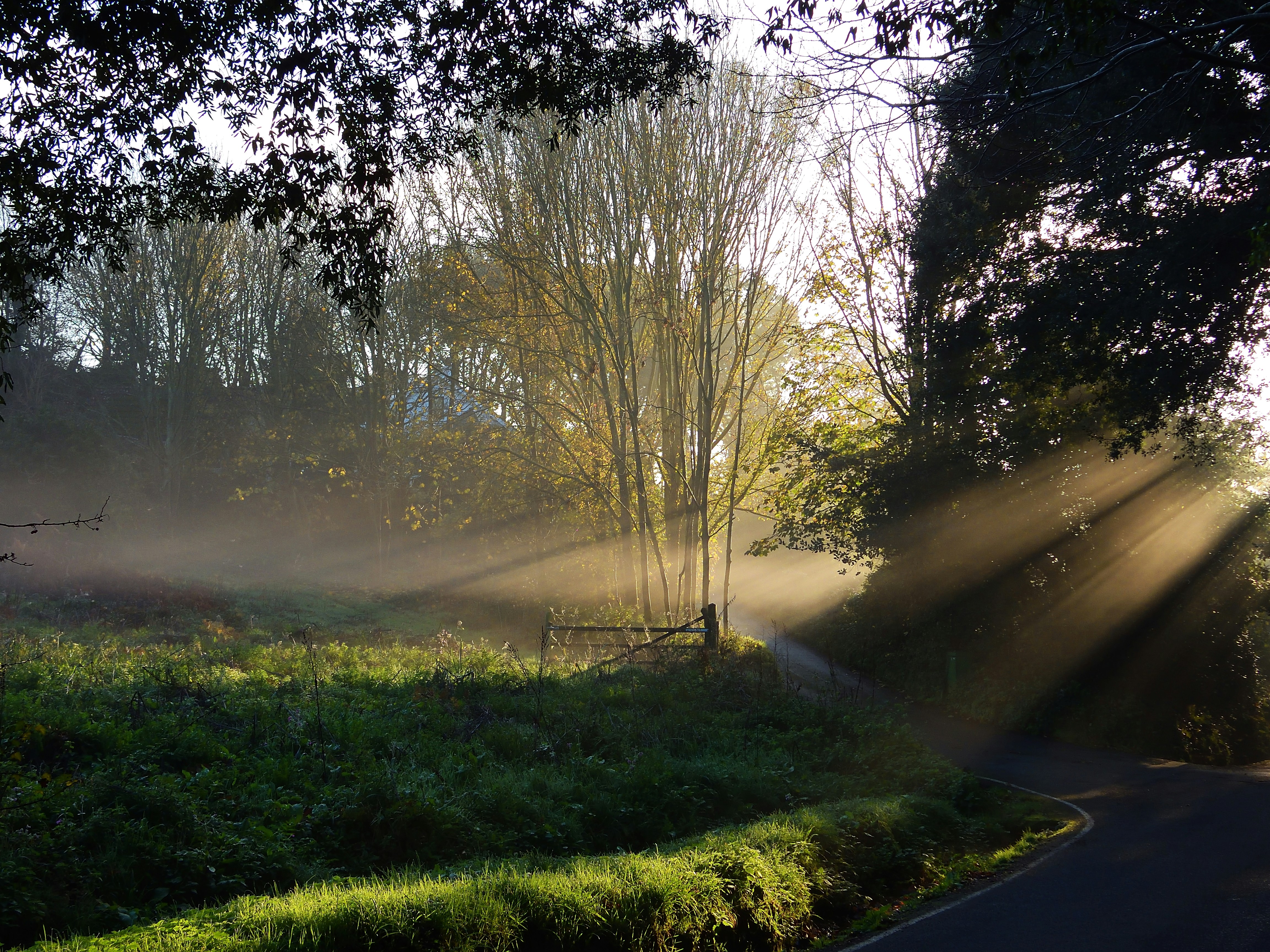 Photo by corneal_candy