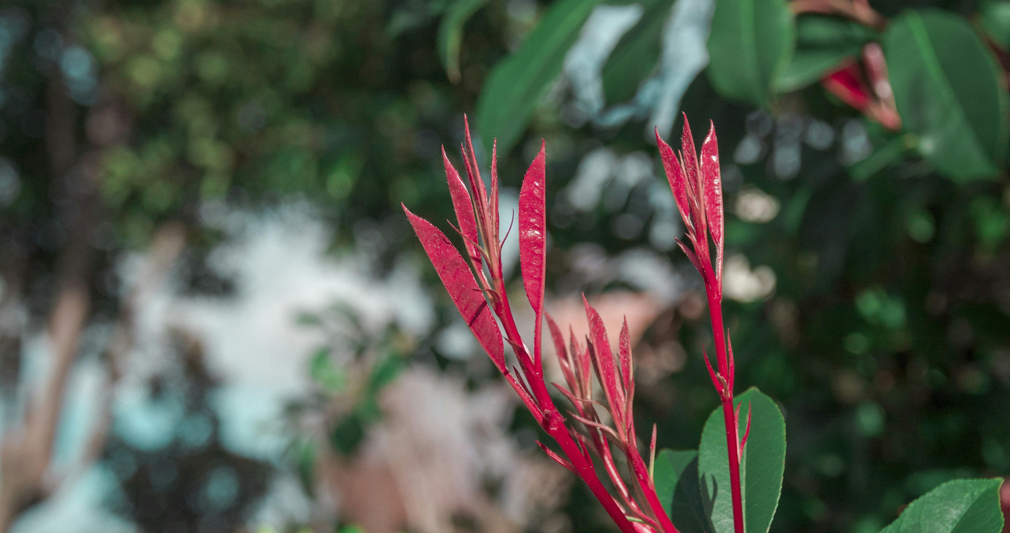 Photo by _nickwright_