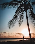 A peaceful yoga pose silhouetted against a sunrise, symbolizing new beginnings.