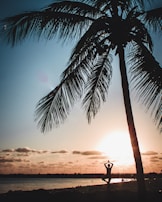 A silhouette of a person practicing yoga in a tree pose is framed by a large palm tree against the backdrop of a setting sun. The sky is filled with warm, golden hues as the sun dips below the horizon, casting a serene and peaceful ambiance.
