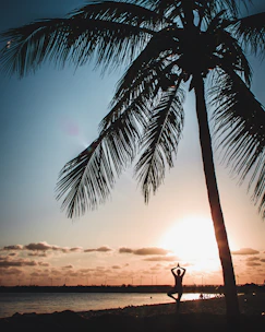 A serene sunrise over an African savannah with a silhouette of a person practicing yoga.