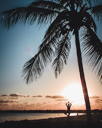 A serene landscape with a person practicing yoga at sunrise, symbolizing peace and wellness.