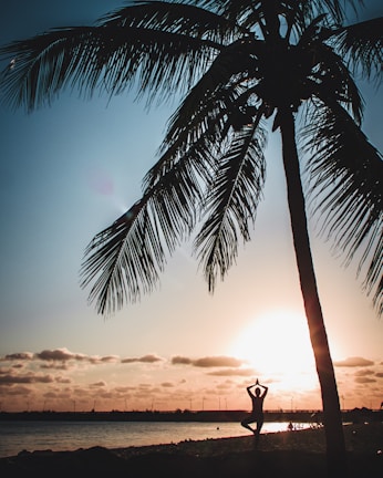 A serene yoga session at sunrise with soft golden light filtering through trees.