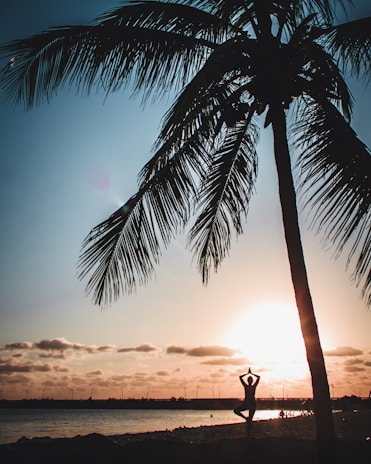 A silhouette of a person practicing yoga in a tree pose is framed by a large palm tree against the backdrop of a setting sun. The sky is filled with warm, golden hues as the sun dips below the horizon, casting a serene and peaceful ambiance.