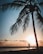 A silhouette of a person practicing yoga in a tree pose is framed by a large palm tree against the backdrop of a setting sun. The sky is filled with warm, golden hues as the sun dips below the horizon, casting a serene and peaceful ambiance.