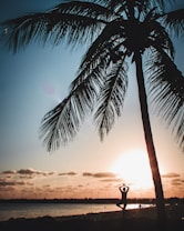A silhouette of a person practicing yoga in a tree pose is framed by a large palm tree against the backdrop of a setting sun. The sky is filled with warm, golden hues as the sun dips below the horizon, casting a serene and peaceful ambiance.